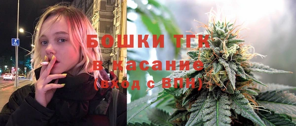 Альфа ПВП Пересвет