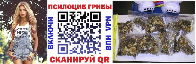 shop официальный сайт  Печора  Псилоцибиновые грибы Psilocybe  мега зеркало 